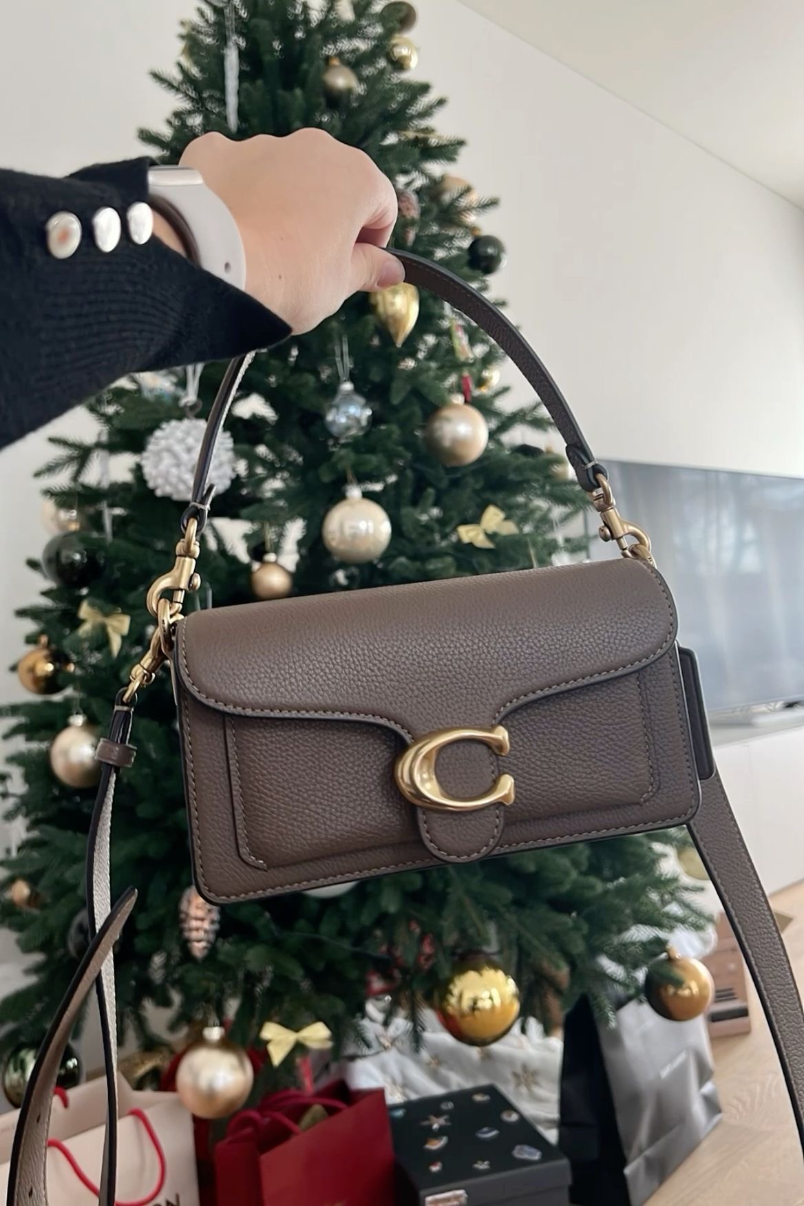 Coacch Tabby 26 Coffee Shoulder Crossbody Bag With Original Box 2 Belt (Short Long)