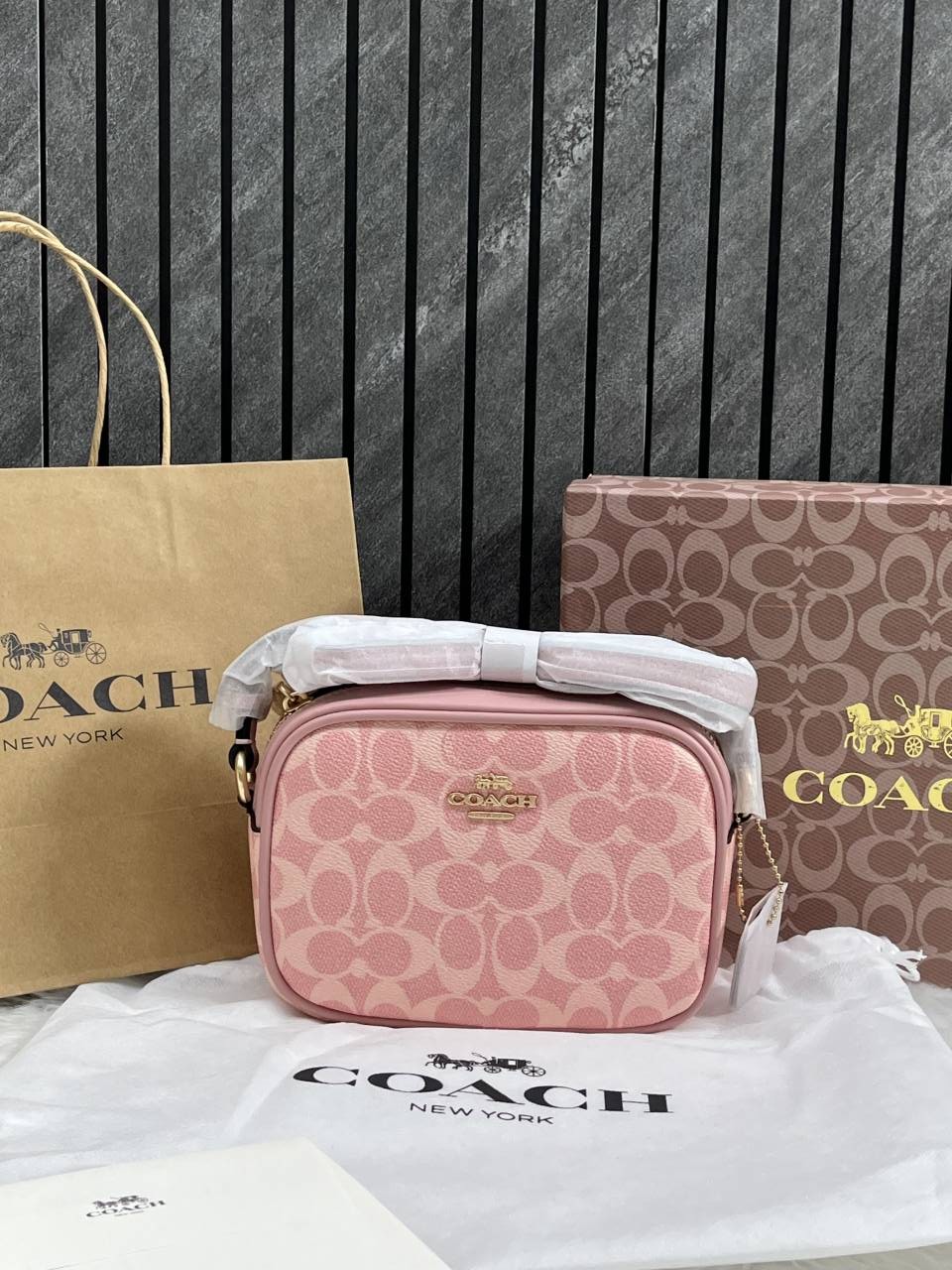 Coacch Jamie Pink Camera Crossbody Bag With OriginalBox DustCover CarryBag