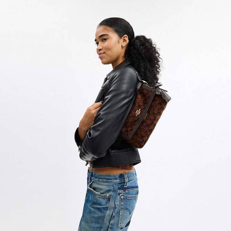 Coacch CB Etta Small Flap Shoulder Bag With DustCover & CarryBag