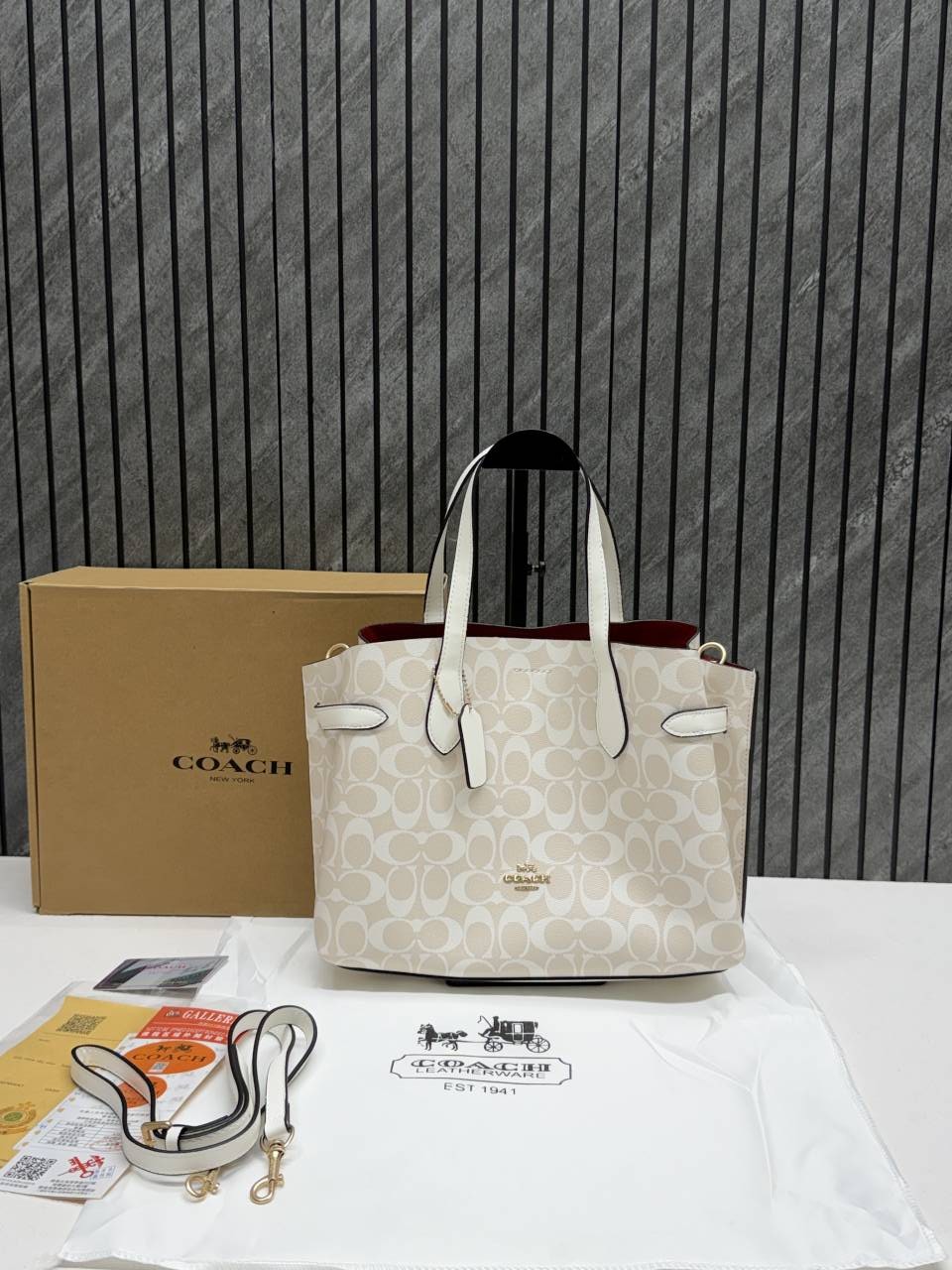 Coacch Hanna CarryAll Medium Satchel Bag With Original Box & DustCover