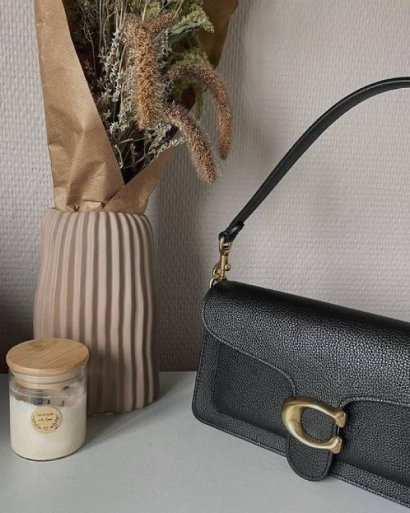 Coaach Tabby 26 Shoulder Bag With OG Box & Dust Bag (Black - 243)