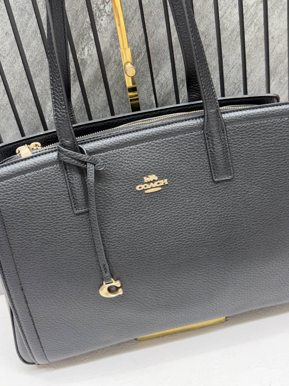 Coacch Laila Large Tote With OriginalDustCover