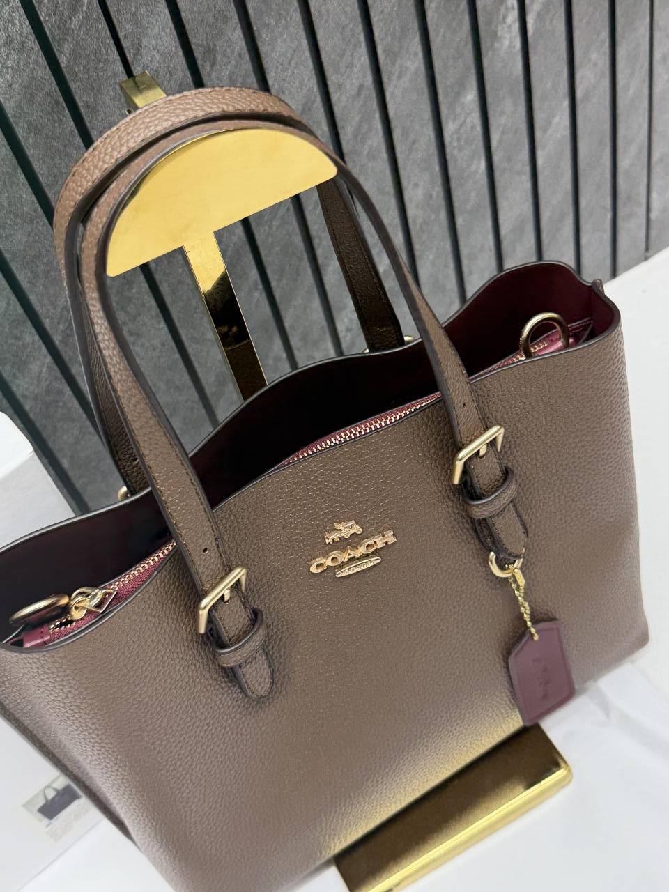 Coach_Mollie_25_SuperPremium_Mud_Small_Tote_With_OriginalBox_DustCover
