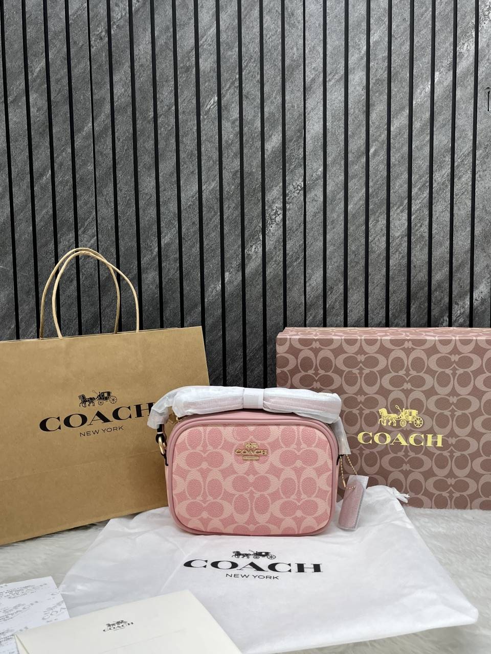 Coacch Jamie Pink Camera Crossbody Bag With OriginalBox DustCover CarryBag