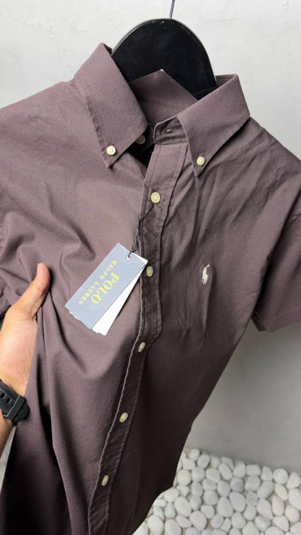 Ralp_ Laure_n Premium Half Sleeves Shirts 2450