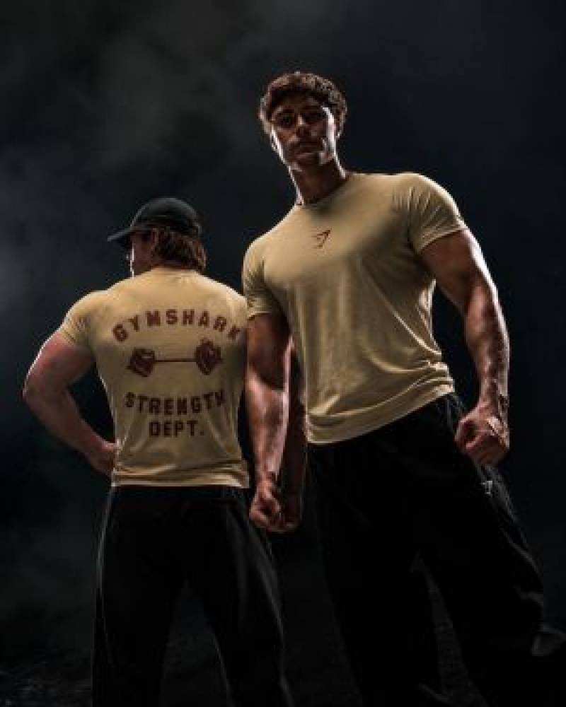 Gymshark Round Neck T-shirt Beige