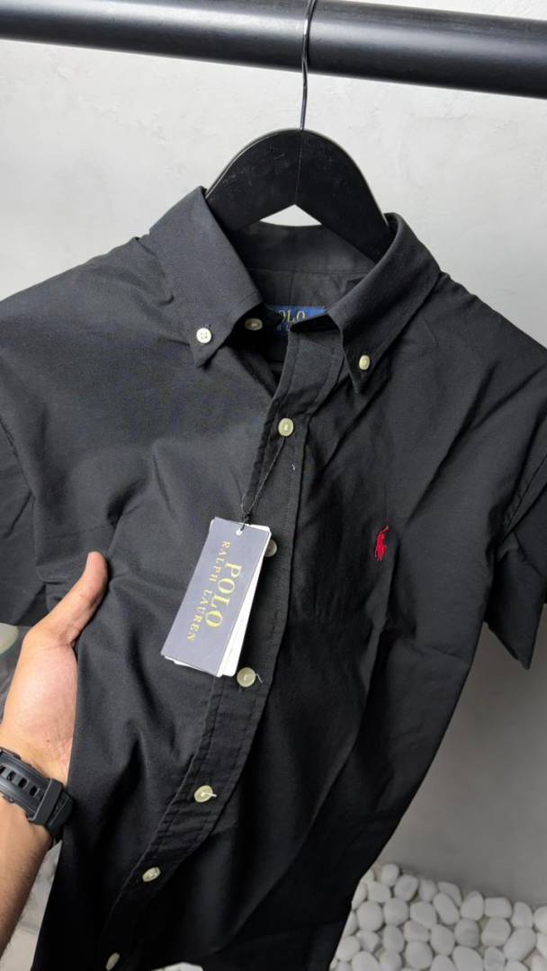 Ralp_ Laure_n AX Premium Half Sleeves Shirts 2471