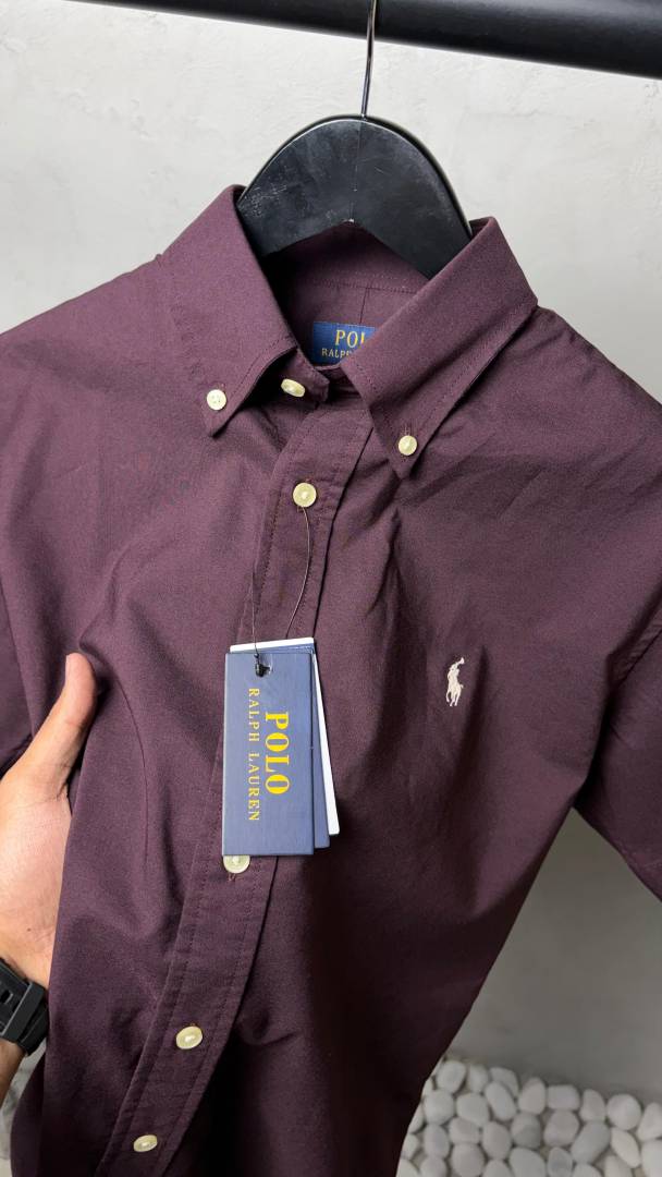 Ralp_ Laure_n Premium Half Sleeves Shirts 2448