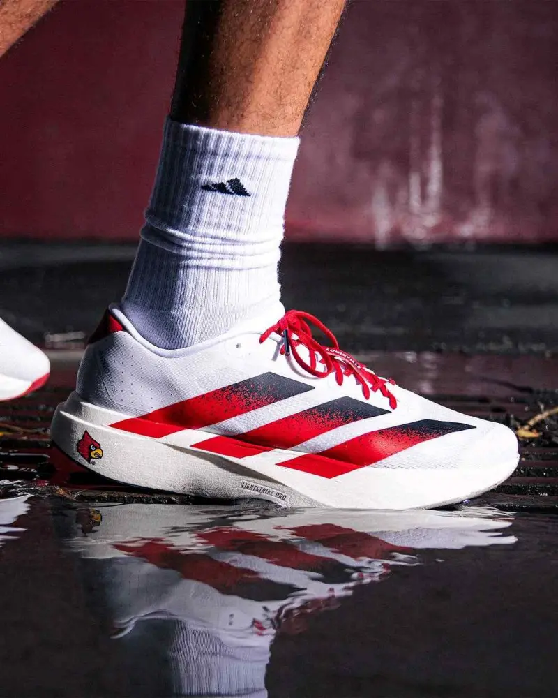 Adidas Adizero Evo SL Loiusville Cardinals