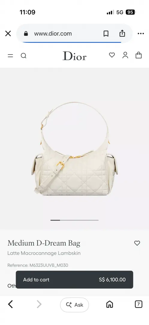Dior CB D Dream Medium Hobo Shoulder Crossbody Bag With CarryBag & DustCover - Image 4