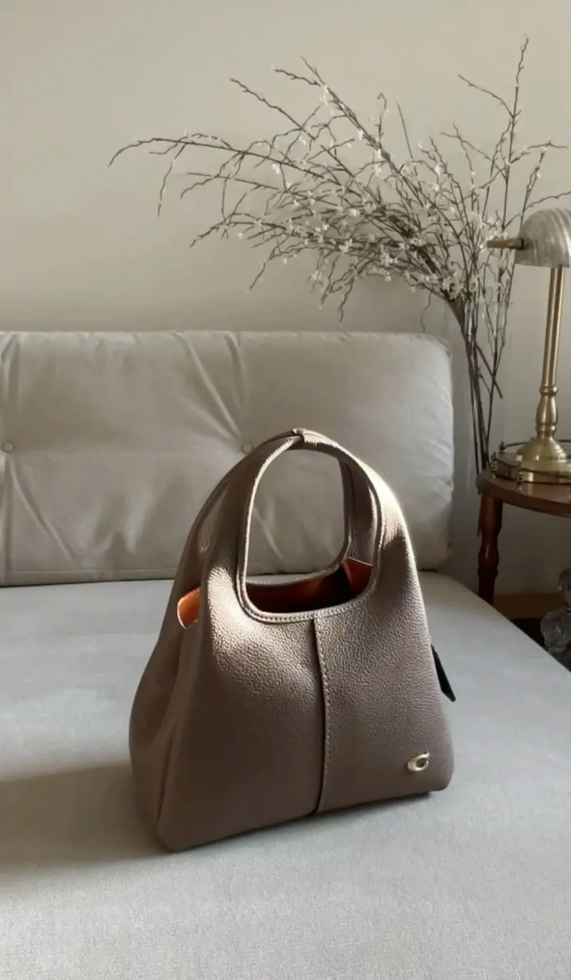 Coach Lana 23 Medium With Original Box DustCover - Image 9