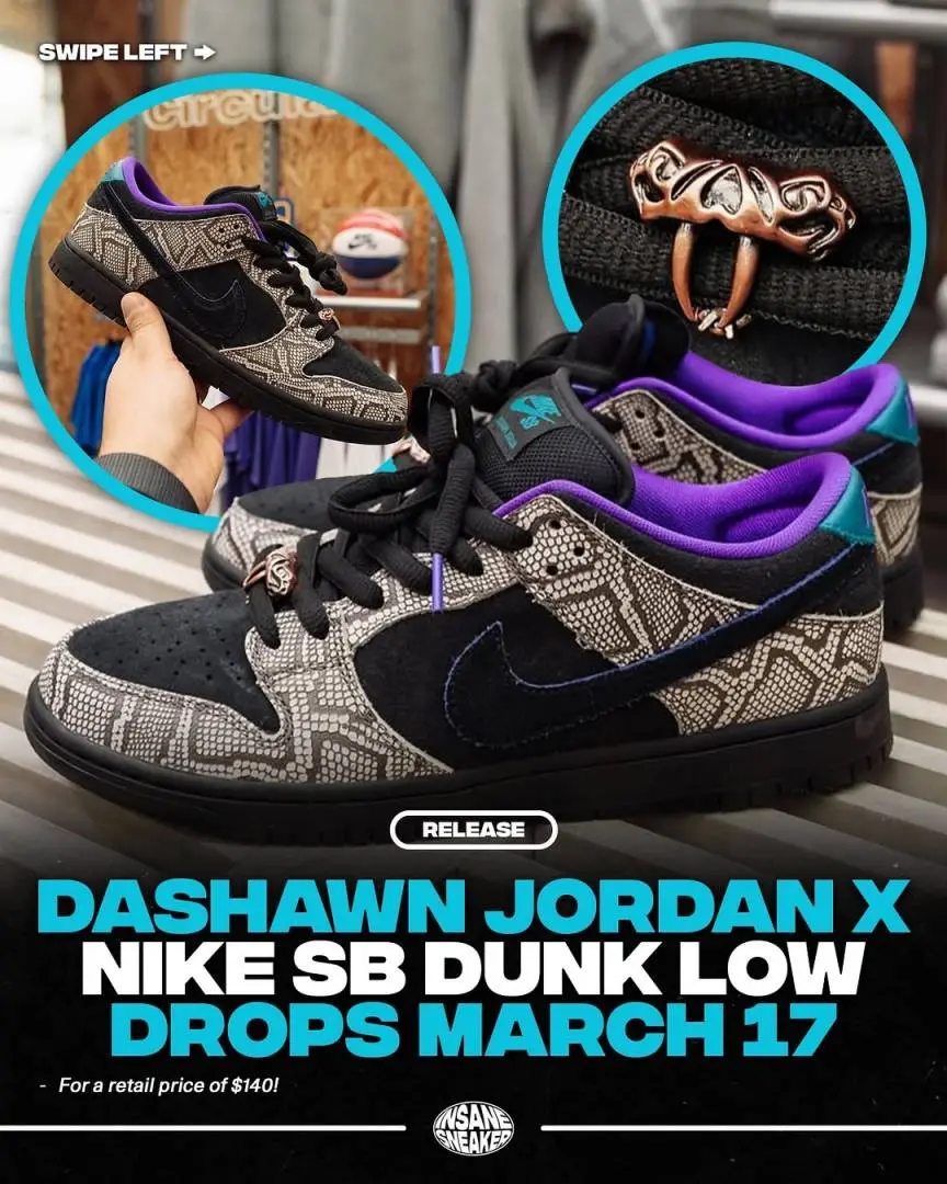 Sb Dunk Low PRO x Dashawn Jordan 700 - Image 3
