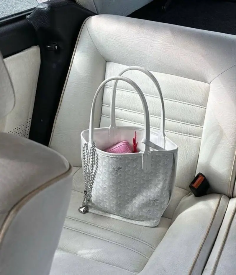 Goyard Anjou Mini Tote With DustCover Wallet PremiumPacking