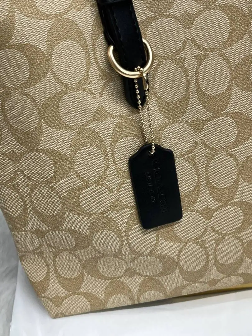 Coach Mollie Tote With DustCover Premium - Image 4