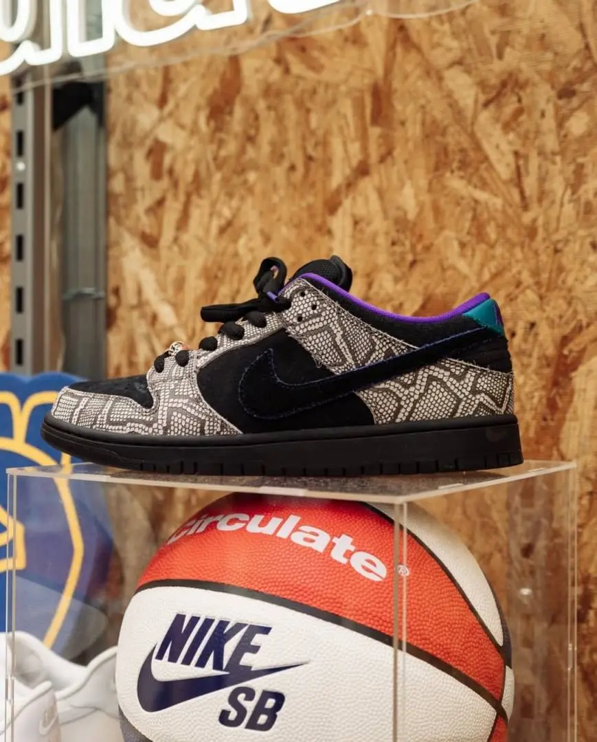 Sb Dunk Low PRO x Dashawn Jordan 700 - Image 2