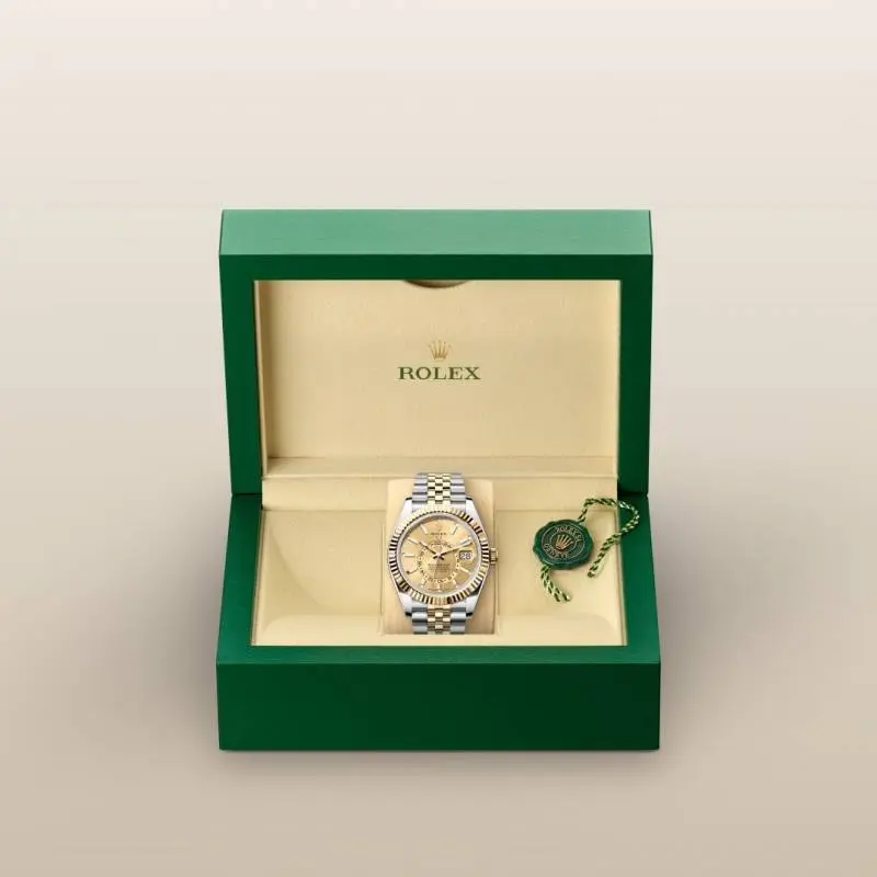 Rolex Oyster perpetual Sky Dweller Z-R Premium - Image 7