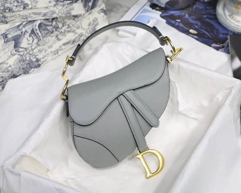 Dior CB Saddle With OriginalBox CarryBag Gray Leather - Image 3