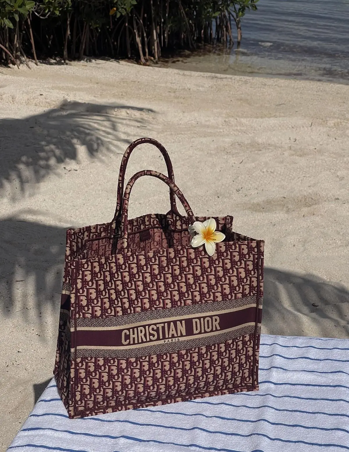 Dior Book Tote Fix Price Large Size Wine Monogram With OriginalBox DustCover & Ribbon - Image 4