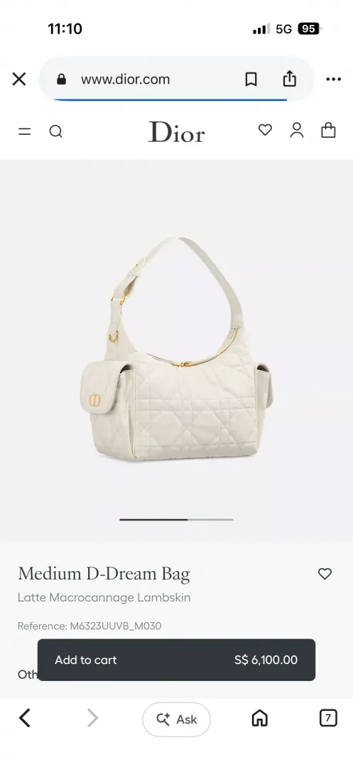 Dior CB D Dream Medium Hobo Shoulder Crossbody Bag With CarryBag & DustCover - Image 5