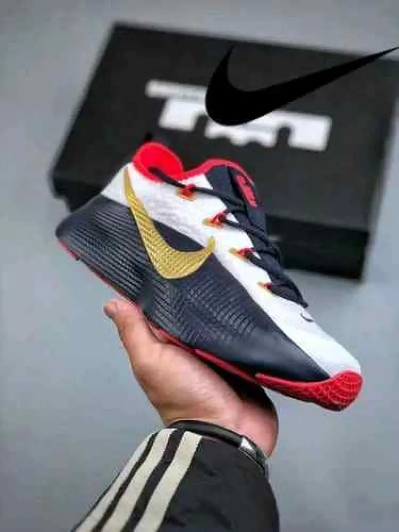 Nike LeBron Royalty TR 1 Team USA 2099