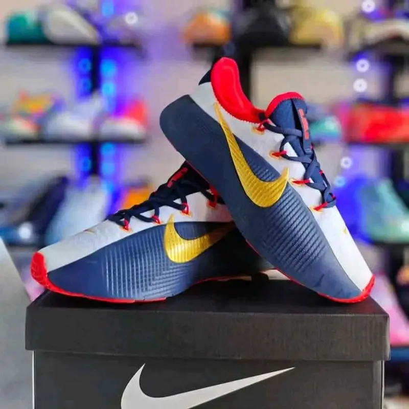 Nike LeBron Royalty TR 1 Team USA 2099 - Image 3