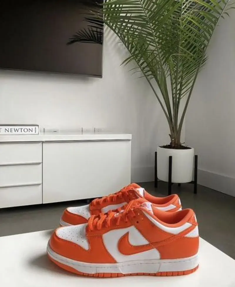 Nike SB DUNK LOW SP SYRACUSE - Image 2