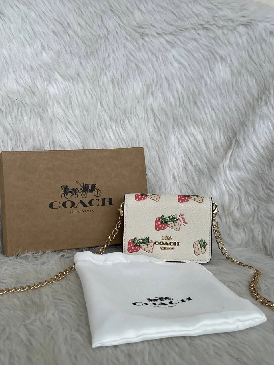 Coach Cw-2 ChainWallet With OriginalBox & DustCover - Image 3