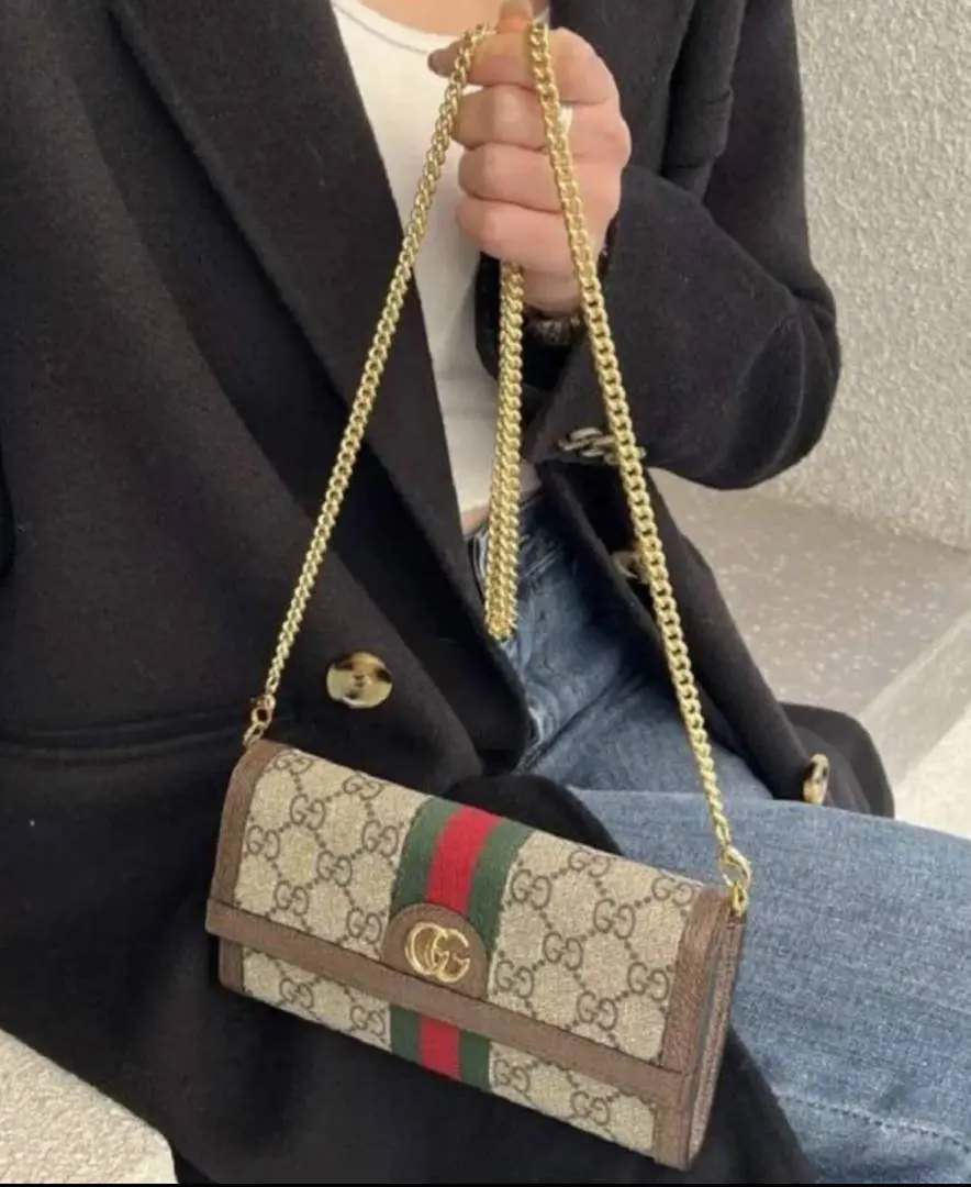 Gucccii 68 ChainWallet With Original Box & DustCover