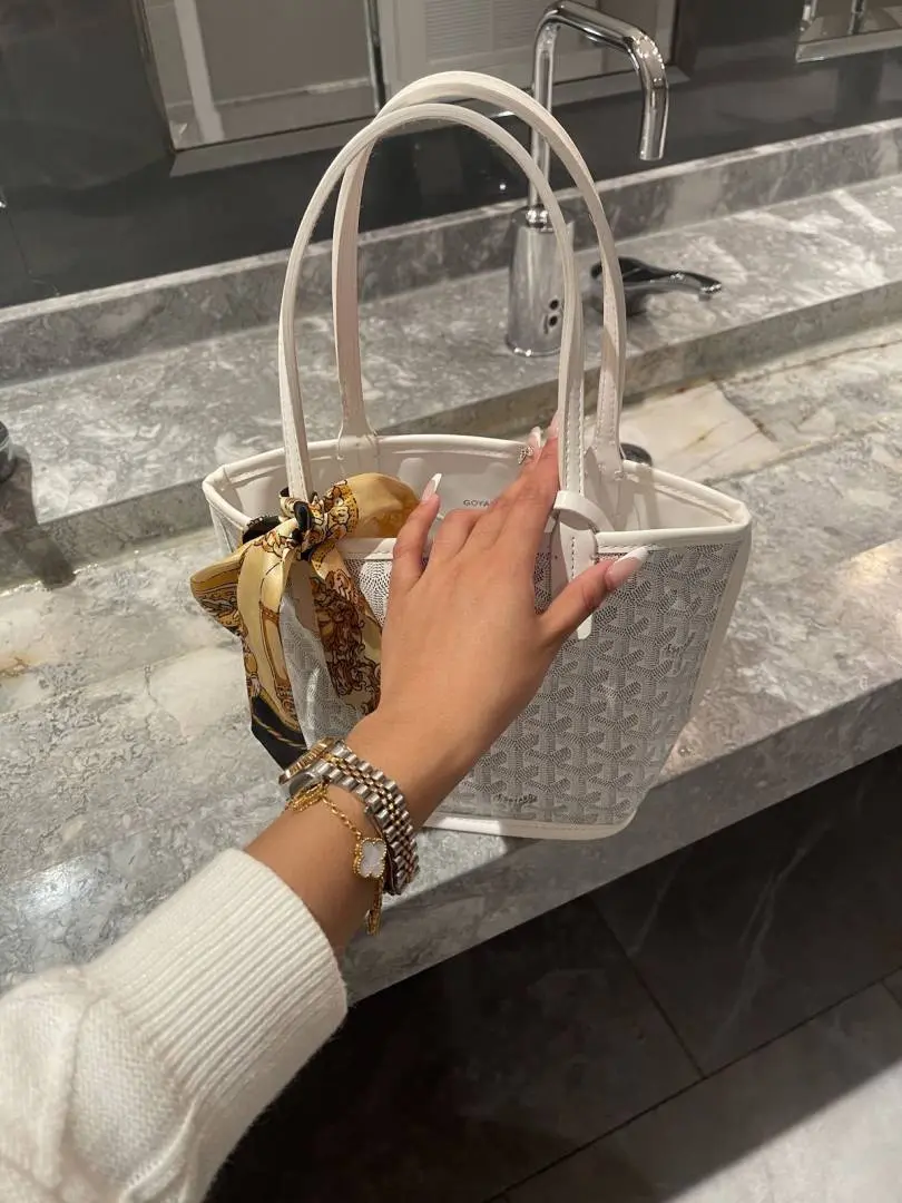 Goyard Anjou Mini Tote With DustCover Wallet PremiumPacking - Image 3