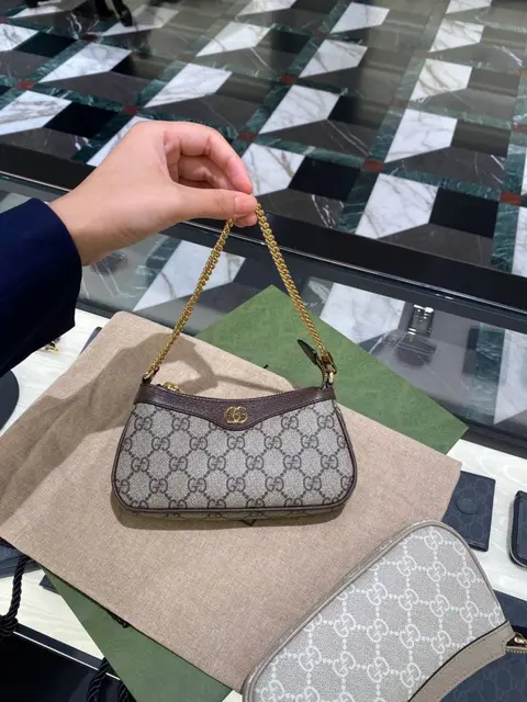 Gucci Ophidia Mini With Double Box Packing