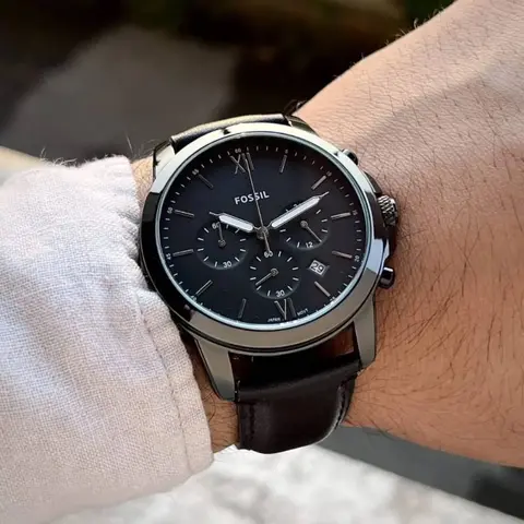 Fossil Neutra
