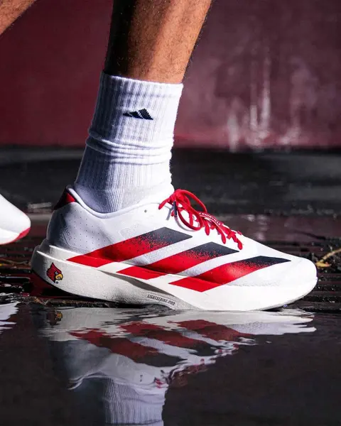 Adidas Adizero Evo SL Loiusville Cardinals