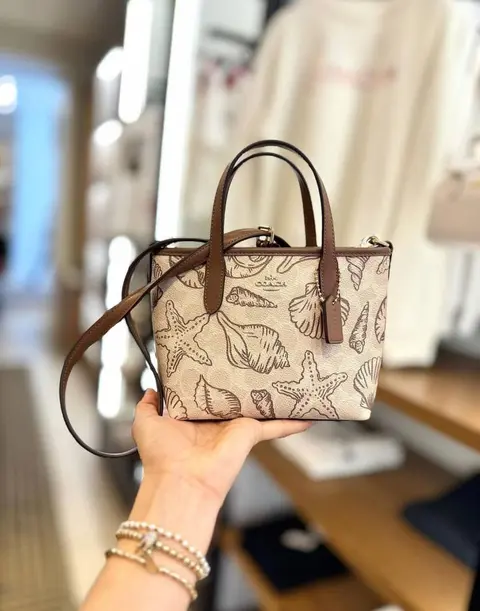 Coach City Tote Mini ShellEdition With OriginalBox DustCover Highend
