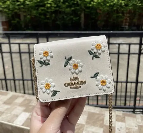 Coach Chain Wallet With OriginalBox DustCover Bill Tags