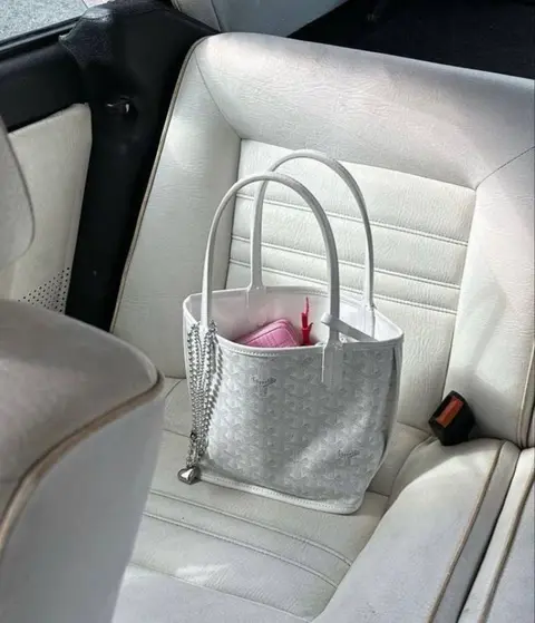 Goyard Anjou Mini Tote With DustCover Wallet PremiumPacking