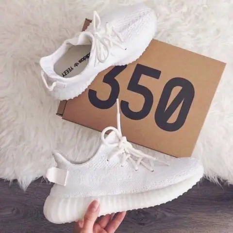 Adidas Yeezy Boost 350 V2 Oreo SEMI UA With All Accesories