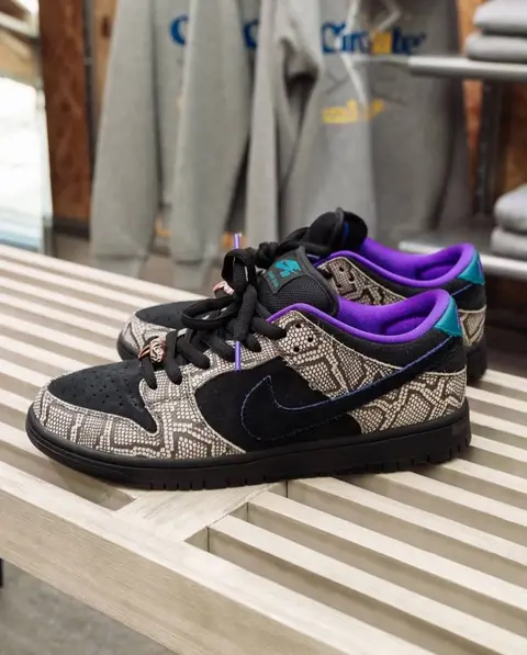 Sb Dunk Low PRO x Dashawn Jordan 700
