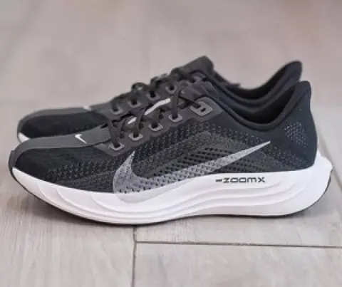 Nike pegasus plus--