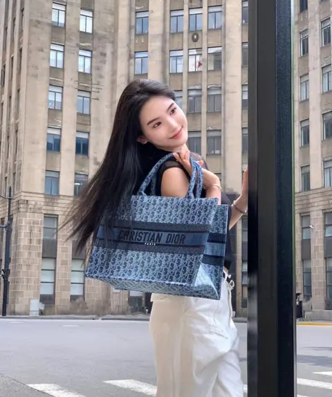 Dior Book Tote Denim With DustCover