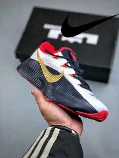 Nike LeBron Royalty TR 1 Team USA 2099