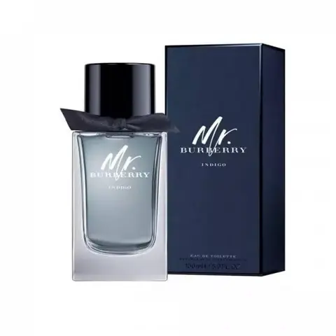 MR BURBERY INDIGO