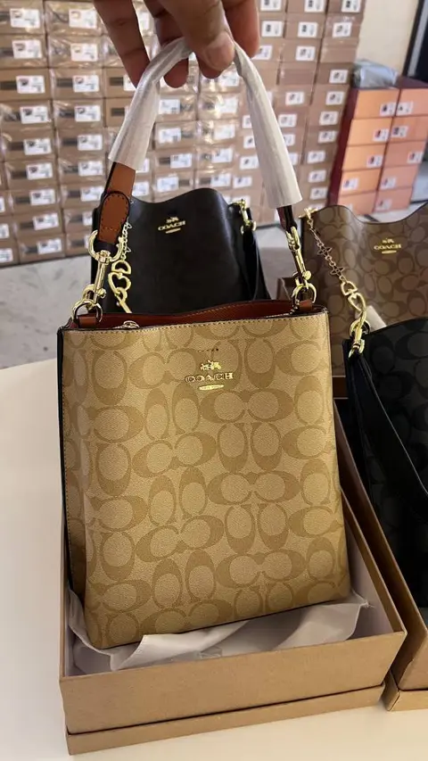 Coach Light-Apricot Mollie Bucket Bag With OriginalBox DustCover Tags BagCharm