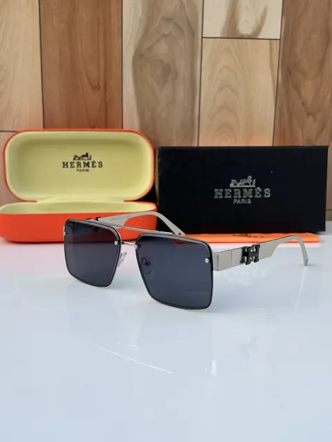 Hermes 6289 silver black